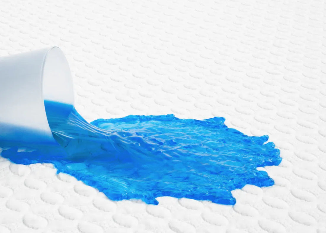 How Do Mattress Protectors And Encasements Protect You From Bed Bugs & Dust Mites