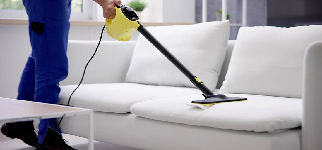 Our 10 Step Process To Remove Australian Bed Bugs | Must Read