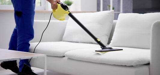 Our 10 Step Process To Remove Australian Bed Bugs | Must Read