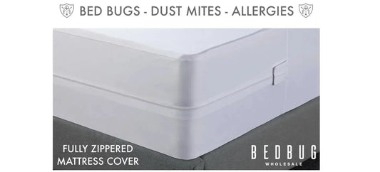 Living with Dust Mites & Allergies, Why Mattress & Pillow Encasements are Effective