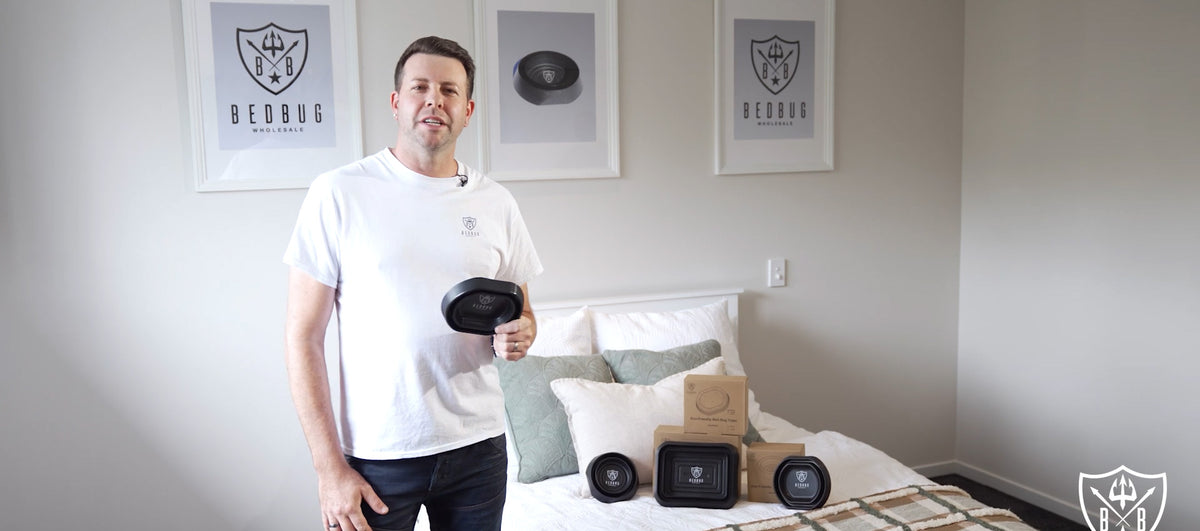 How To Kill & Trap Bed Bugs