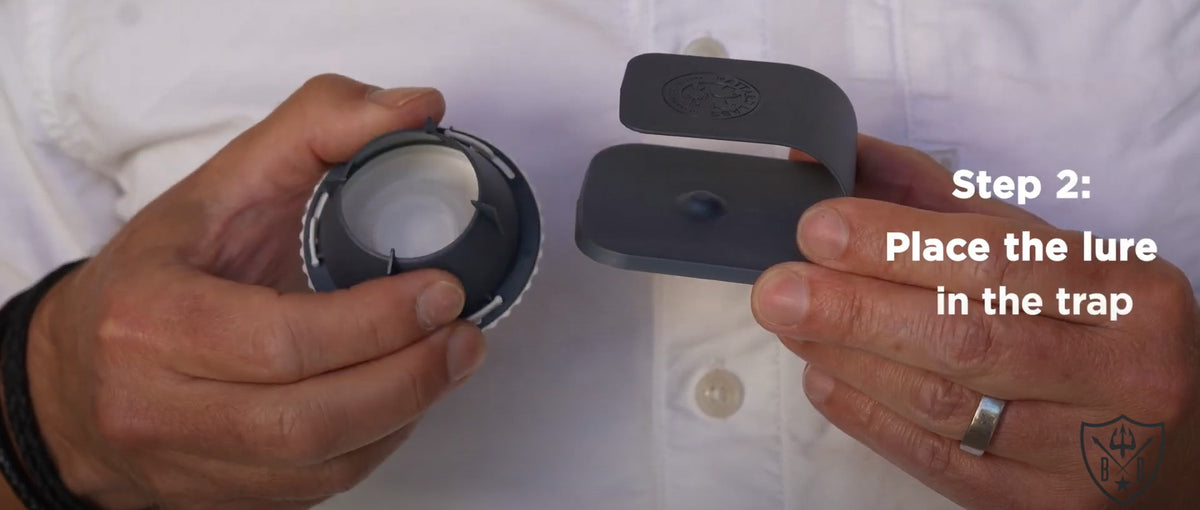 Test Video Thumbnail