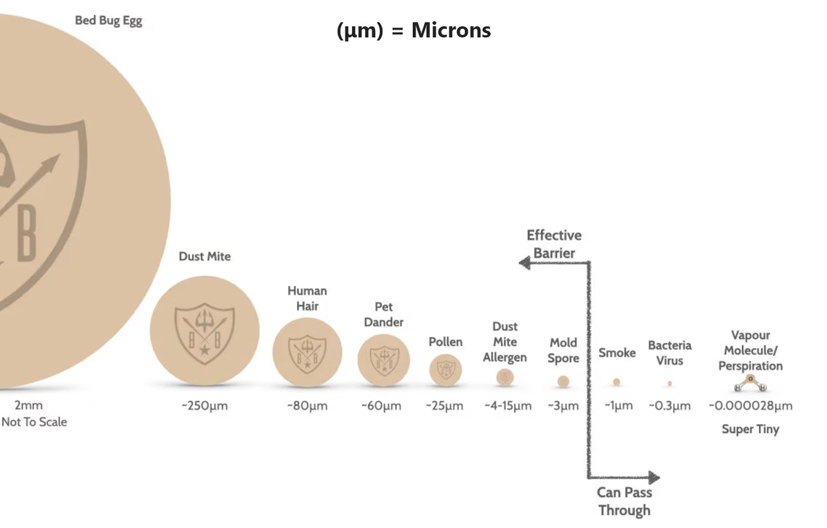 The Cotton Filters out Mould Spores, Dust Mite Allergens, Pollen, Pet Dander, Dust Mites and Bed Bugs