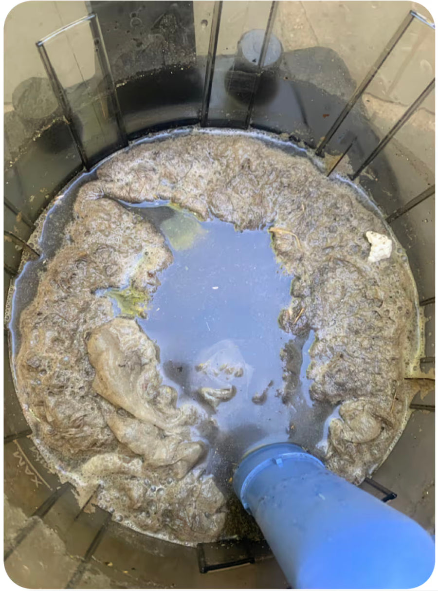 The Results From Just One Room